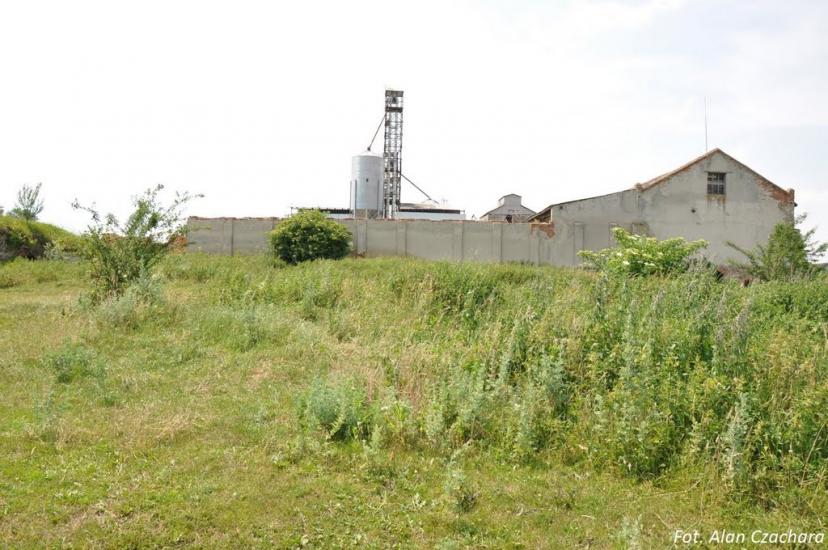 Бурканів з panoramio.com - Burkaniv