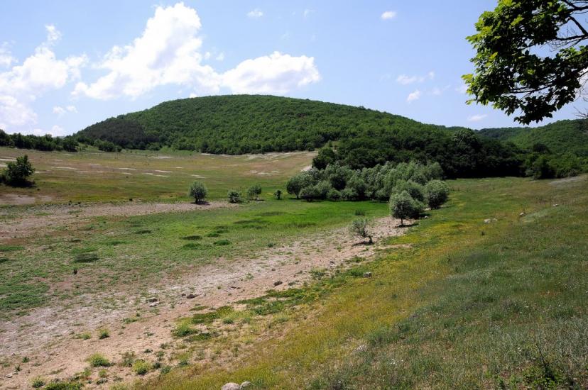 Прохладне з panoramio.com - Прохладное