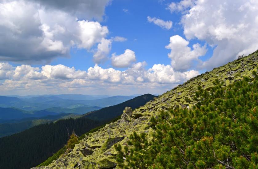Черник з panoramio.com - Черник