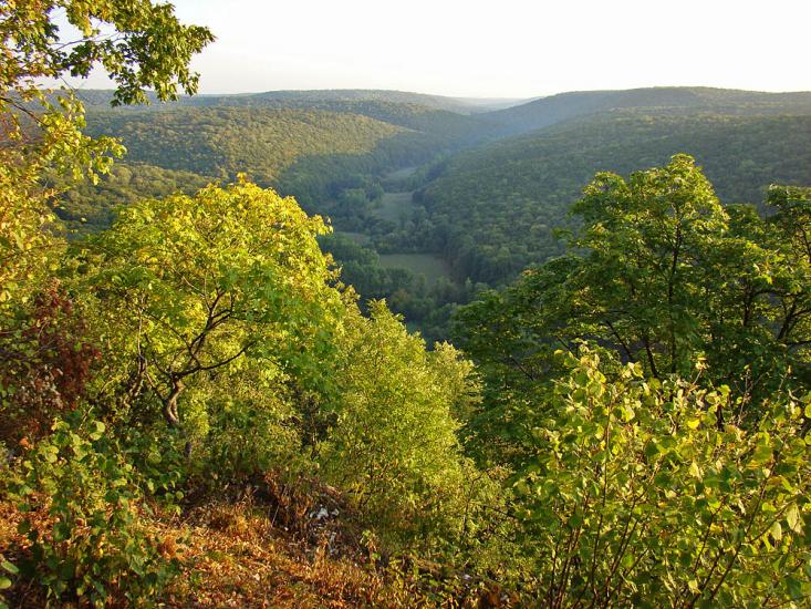 Личківці з panoramio.com - Лычковцы