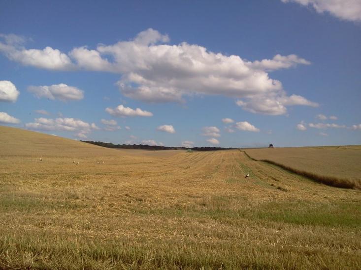 Цеперів з panoramio.com - Цеперів