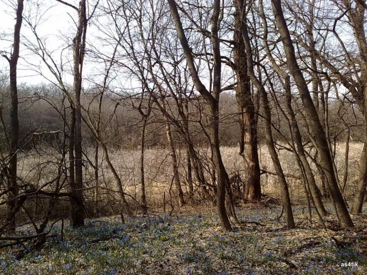 Щастя з panoramio.com - Счастье