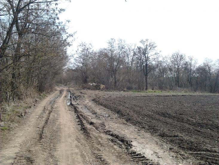 Рогачі з panoramio.com - Рогачи