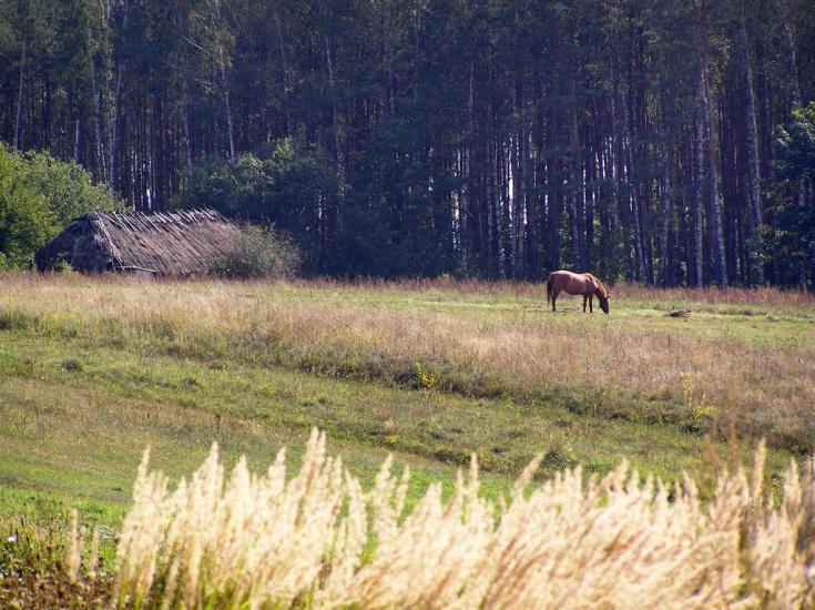 Мелені з panoramio.com - Meleni