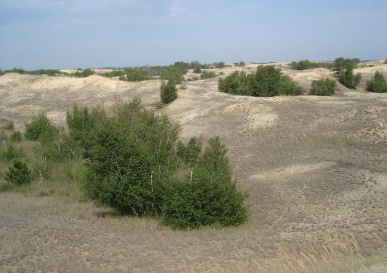 Подо-Калинівка з panoramio.com - Podo-Kalynivka