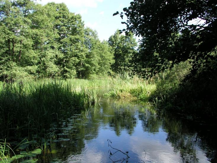 Стобихва з panoramio.com - Стобихва