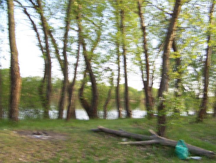 Самусіївка з panoramio.com - Самусіївка