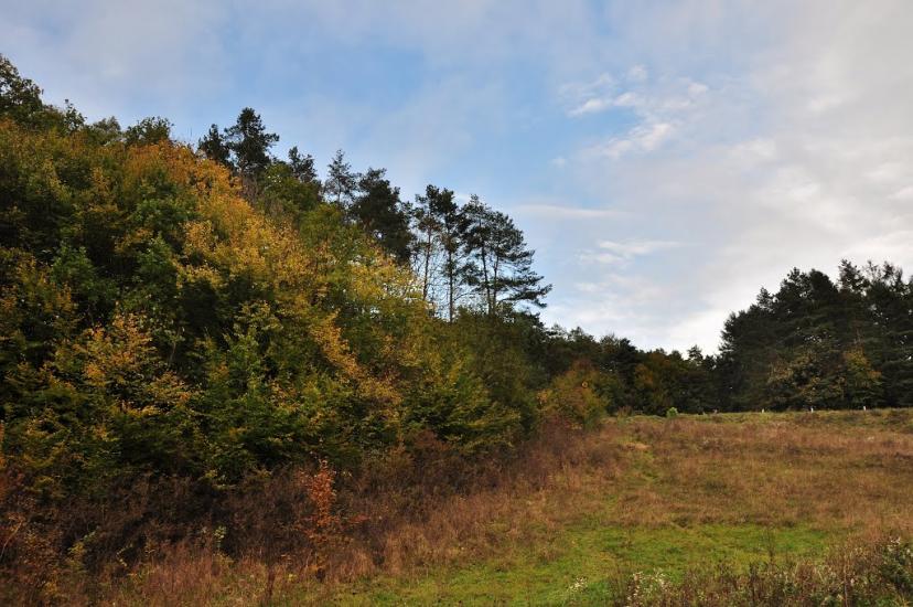 Відники з panoramio.com - Відники