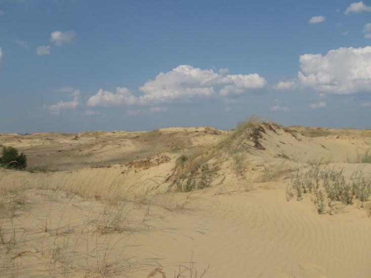 Великі Копані з panoramio.com - Великие Копани