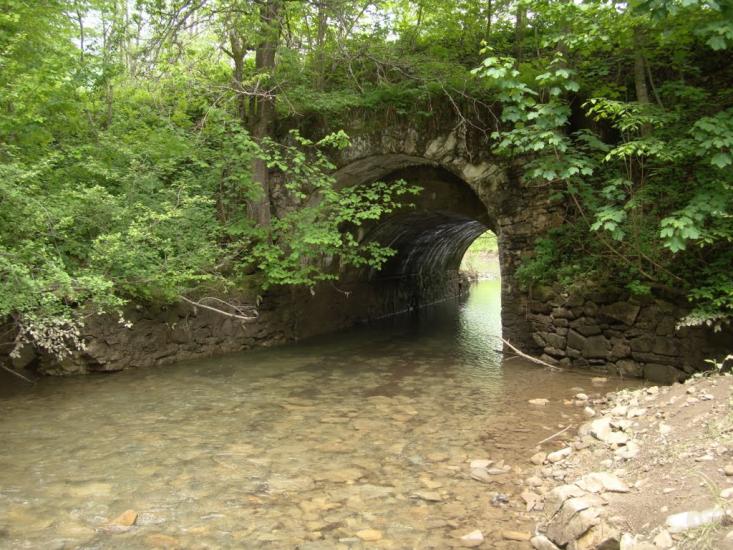 Вільшани з panoramio.com - Ольшаны