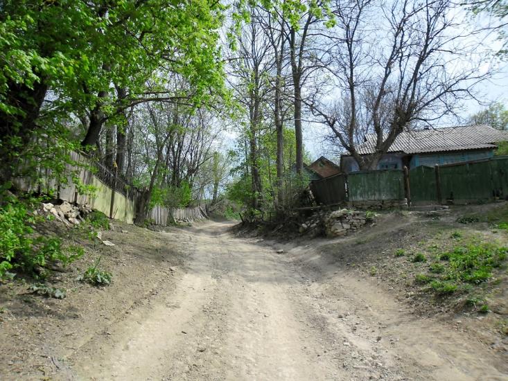 Жабинці з panoramio.com - Жабинцы