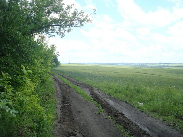Грузевиця з panoramio.com - Грузевиця