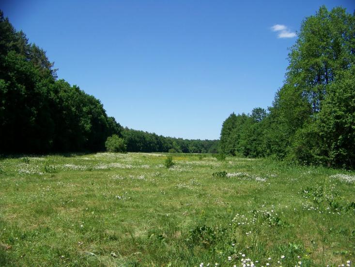 Свидівок з panoramio.com - Svydivok
