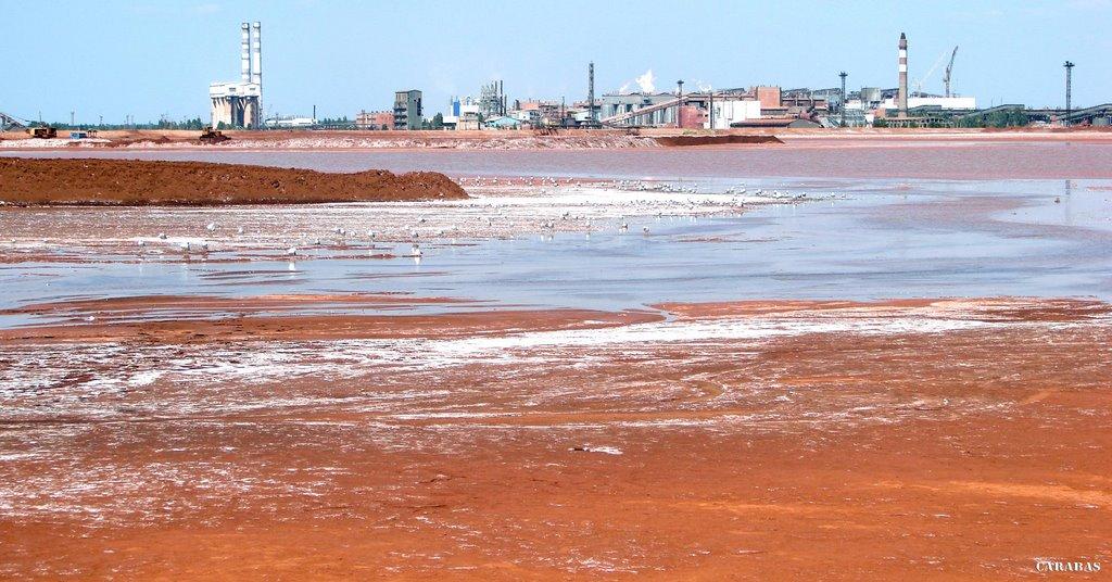 Лимани з panoramio.com - Лиманы