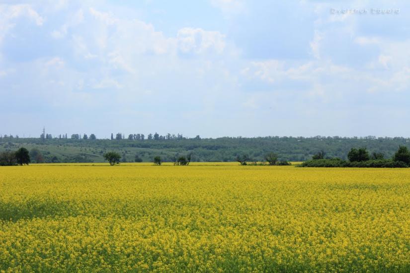 Інгулець з panoramio.com - Ингулец