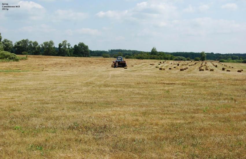 Лабурівка з panoramio.com - Лабурівка