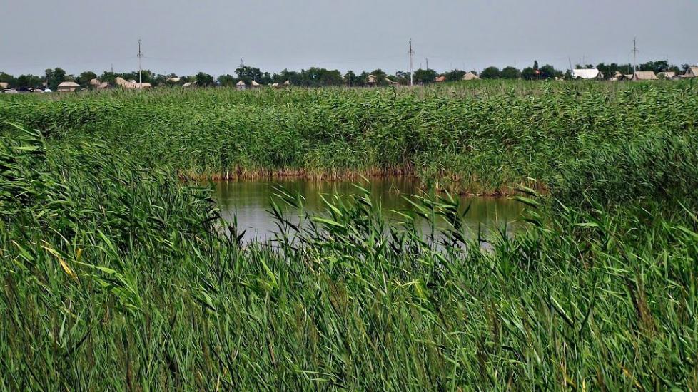 Приморське з panoramio.com - Prymorske