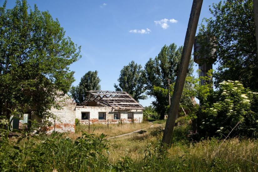 Пекарі з panoramio.com - Пекарі