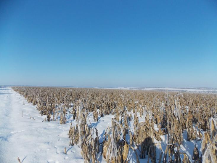 Млинки з panoramio.com - Млынки