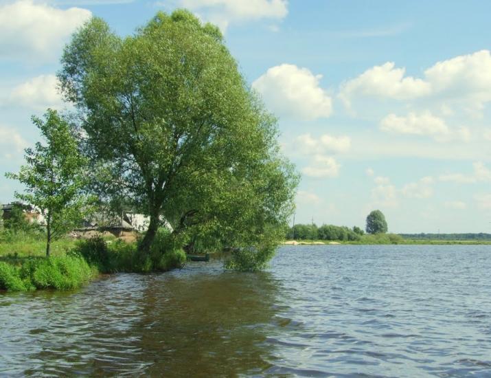 Шацьк з panoramio.com - Шацьк
