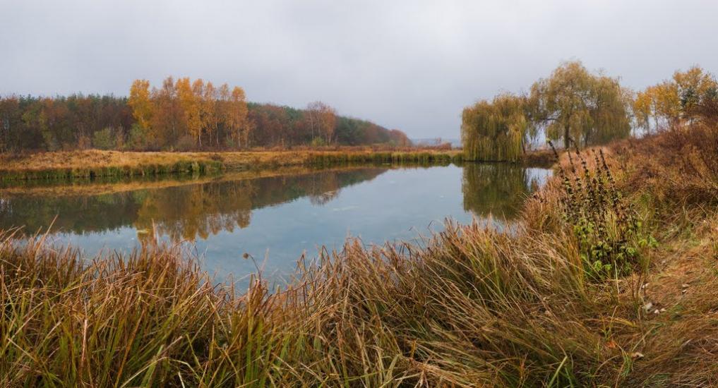 Буцнів з panoramio.com - Буцнев