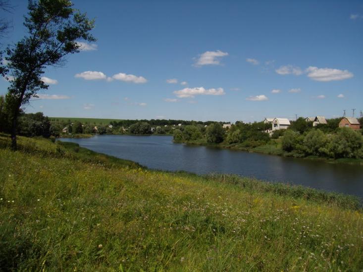 Питомник з panoramio.com - Питомник