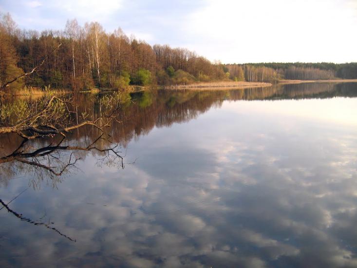 Рудня-Городищенська з panoramio.com - Rudnya-Gorodyschenska