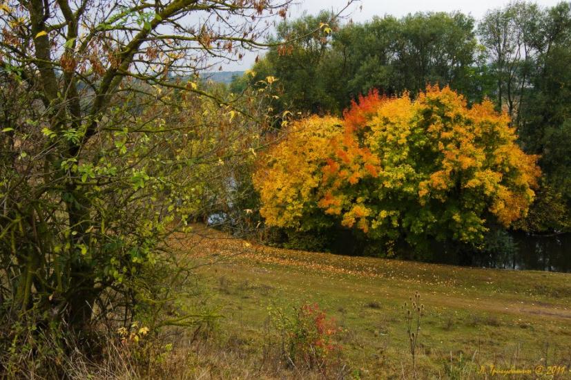 Мишковичі з panoramio.com - Мышковичи