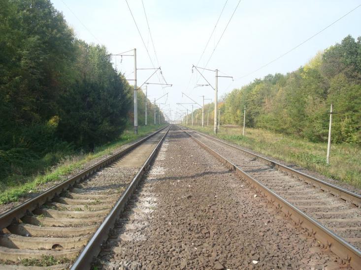 Червона Зірка з panoramio.com - Червона Зірка