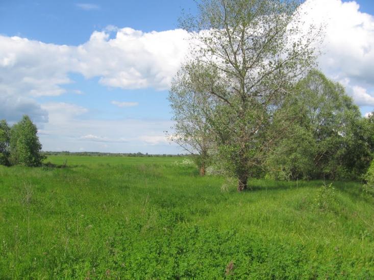 Терехівка з panoramio.com - Тереховка
