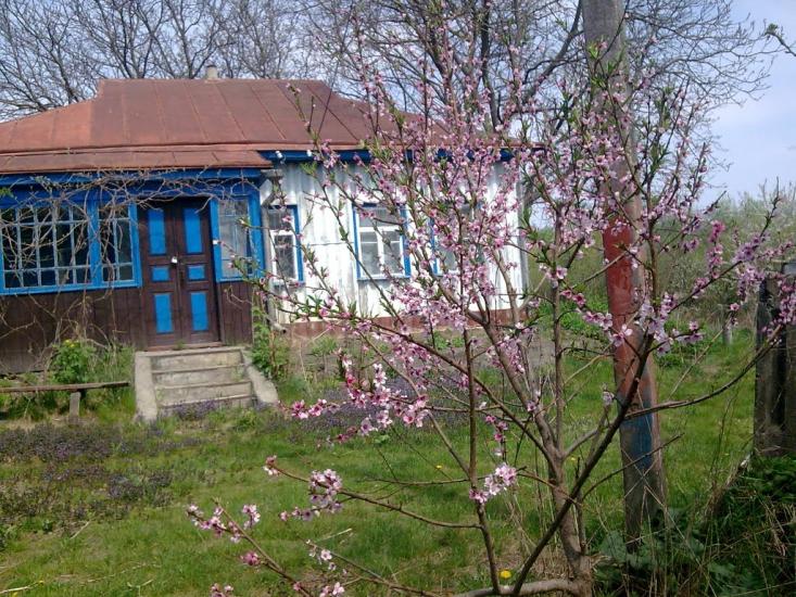 Григорівка з panoramio.com - Григоровка