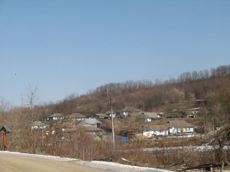 Грабарівка з panoramio.com - Грабарівка