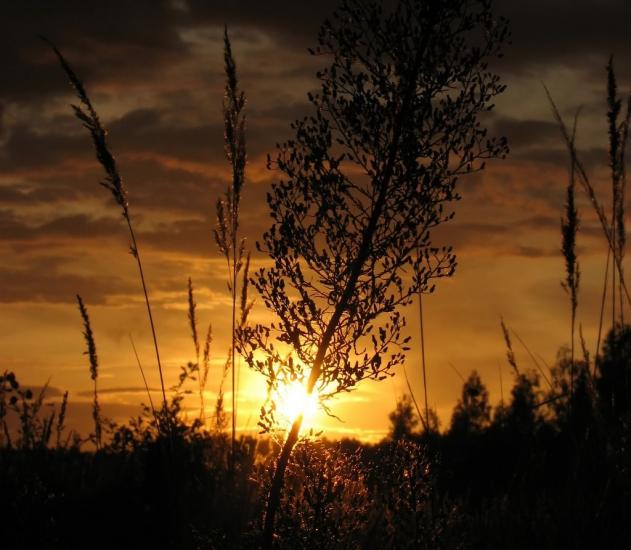 Глядин з panoramio.com - Глядин