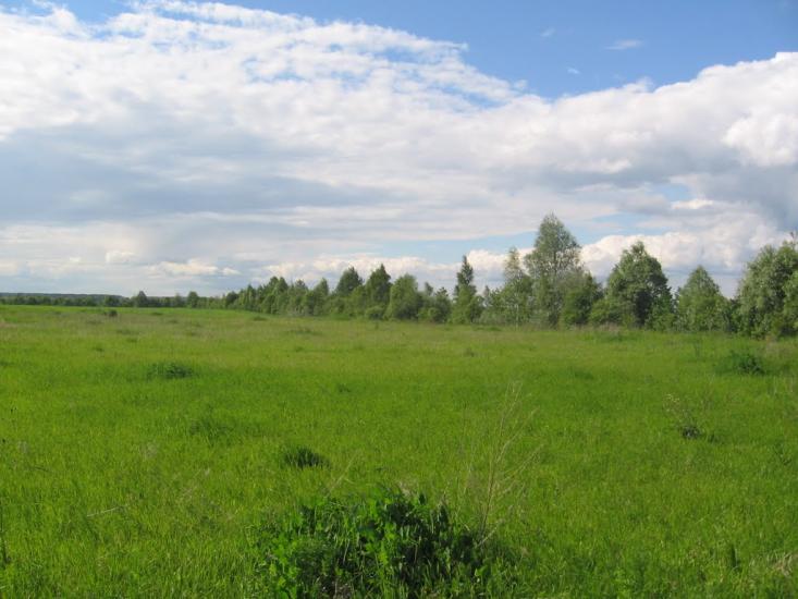 Терехівка з panoramio.com - Тереховка