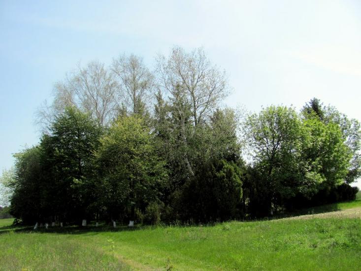 Старий Чорторийськ з panoramio.com - Старий Чорторийськ