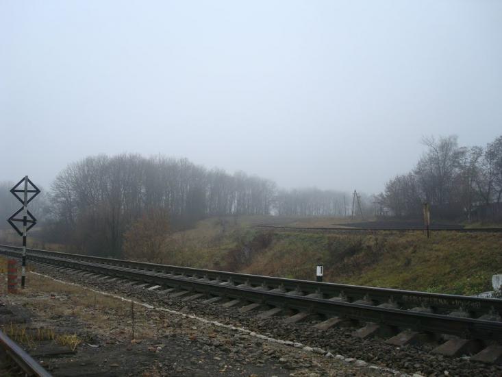 Томашівка з panoramio.com - Томашовка