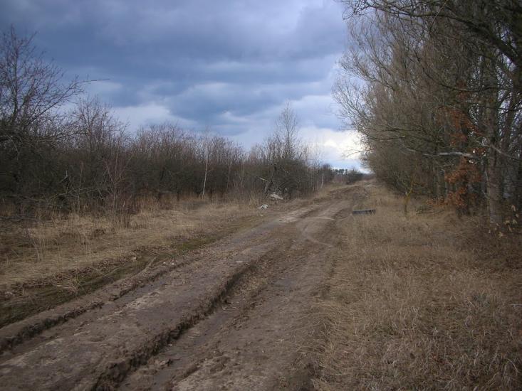 Петрівське з panoramio.com - Петрівське