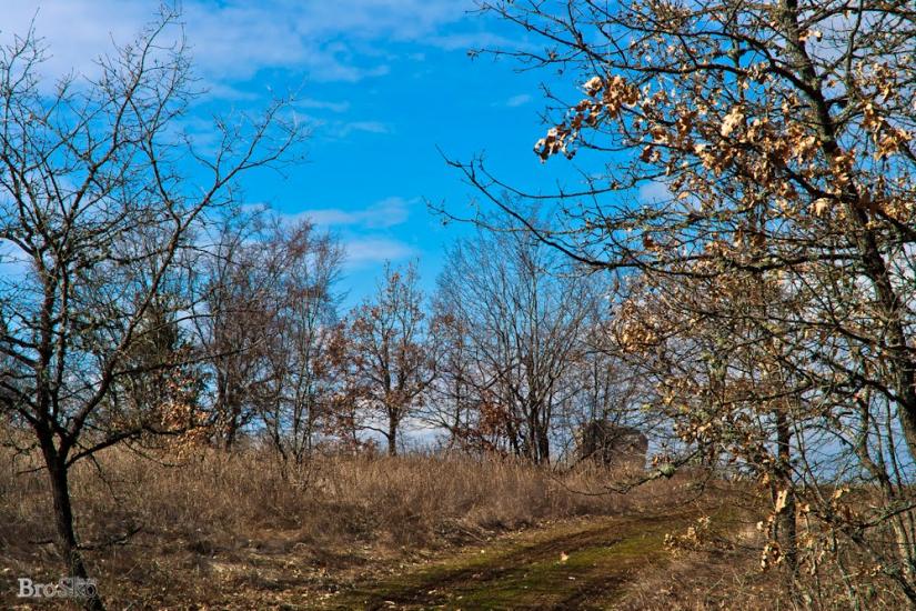 Білокам'яне з panoramio.com - Білокам'яне