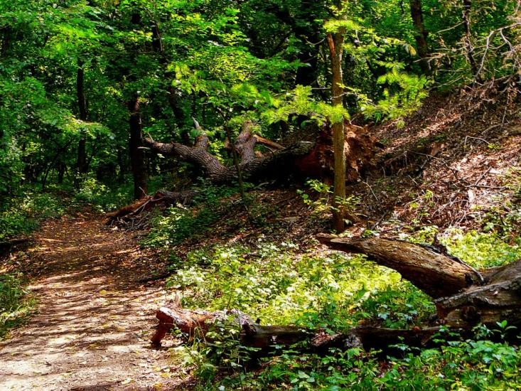 Алмазна з panoramio.com - Алмазная