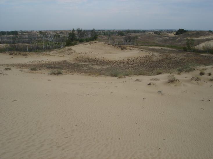 Подо-Калинівка з panoramio.com - Подо-Калинівка