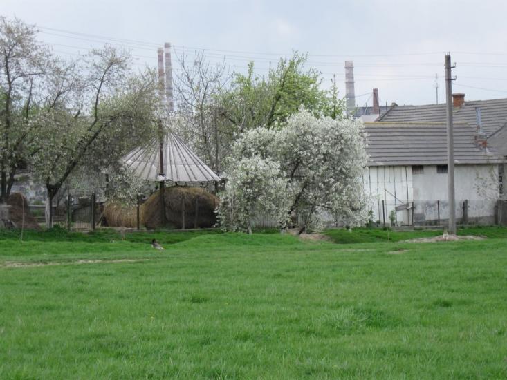 Дроговиж з panoramio.com - Дроговиж