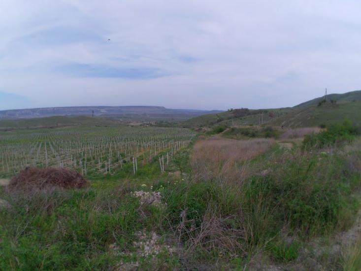 Нанікове з panoramio.com - Нанікове