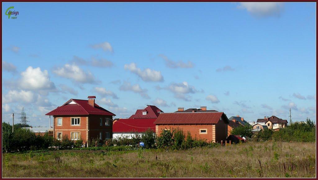 Зарванці з panoramio.com - Зарванцы