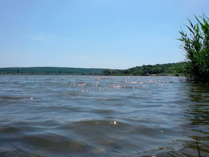 Алмазна з panoramio.com - Almazna