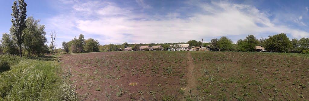 Білий Камінь з panoramio.com - Білий Камінь