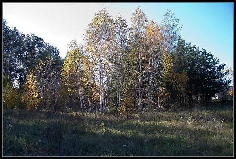Терентіївка з panoramio.com - Терентіївка