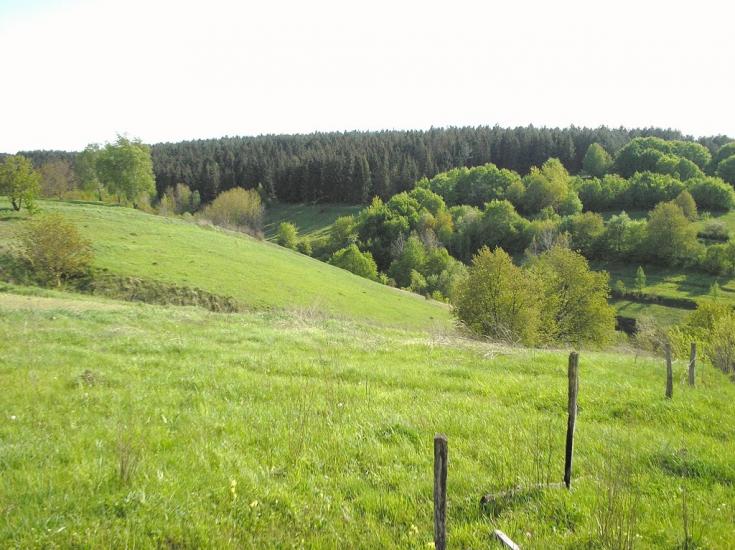 Зіньків з panoramio.com - Зіньків