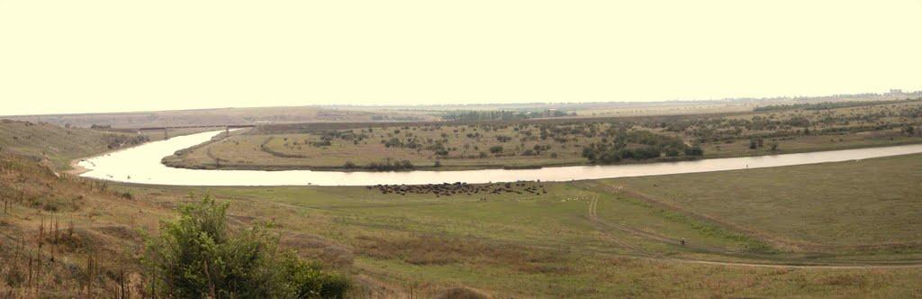 Павлівка з panoramio.com - Павловка