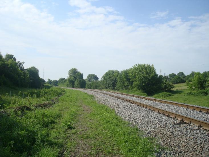 Мокіївці з panoramio.com - Мокіївці