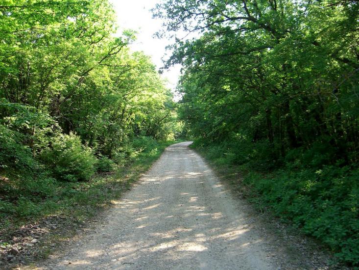 Інкерман з panoramio.com - Інкерман